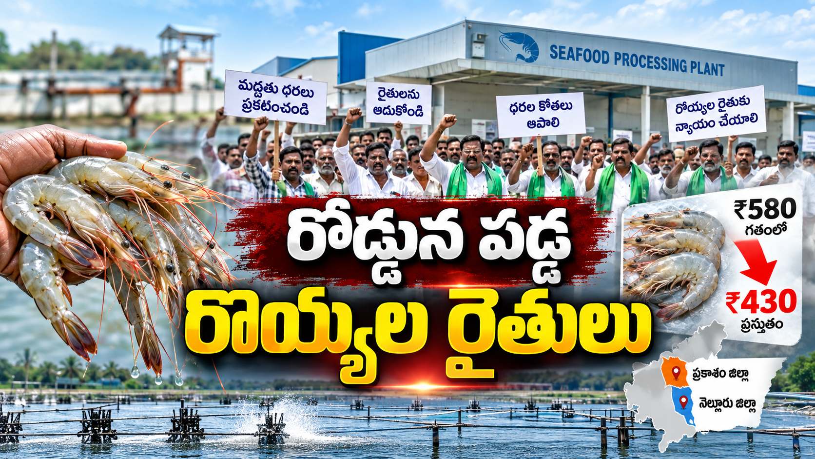 రొయ్యల రైతులు ధరల కోతలకు వ్యతిరేకంగా నిరసన