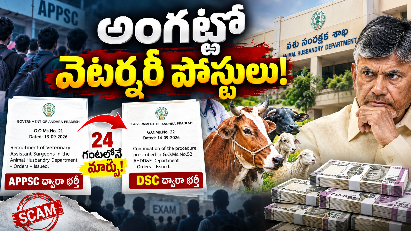 వెటర్నరీ పోస్టుల భర్తీపై 164 పోస్టులు, ఏపీపీఎస్సీ నుంచి డీఎస్సీకి మారిన నియామక విధానం
